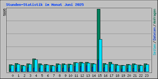Stunden-Statistik im Monat Juni 2025