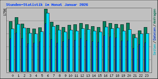 Stunden-Statistik im Monat Januar 2026